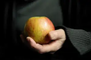 Rozdíl Mezi Gyrosem A Kebabem